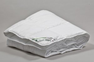 aloe_vera_paplan_IMG_1556-800x533